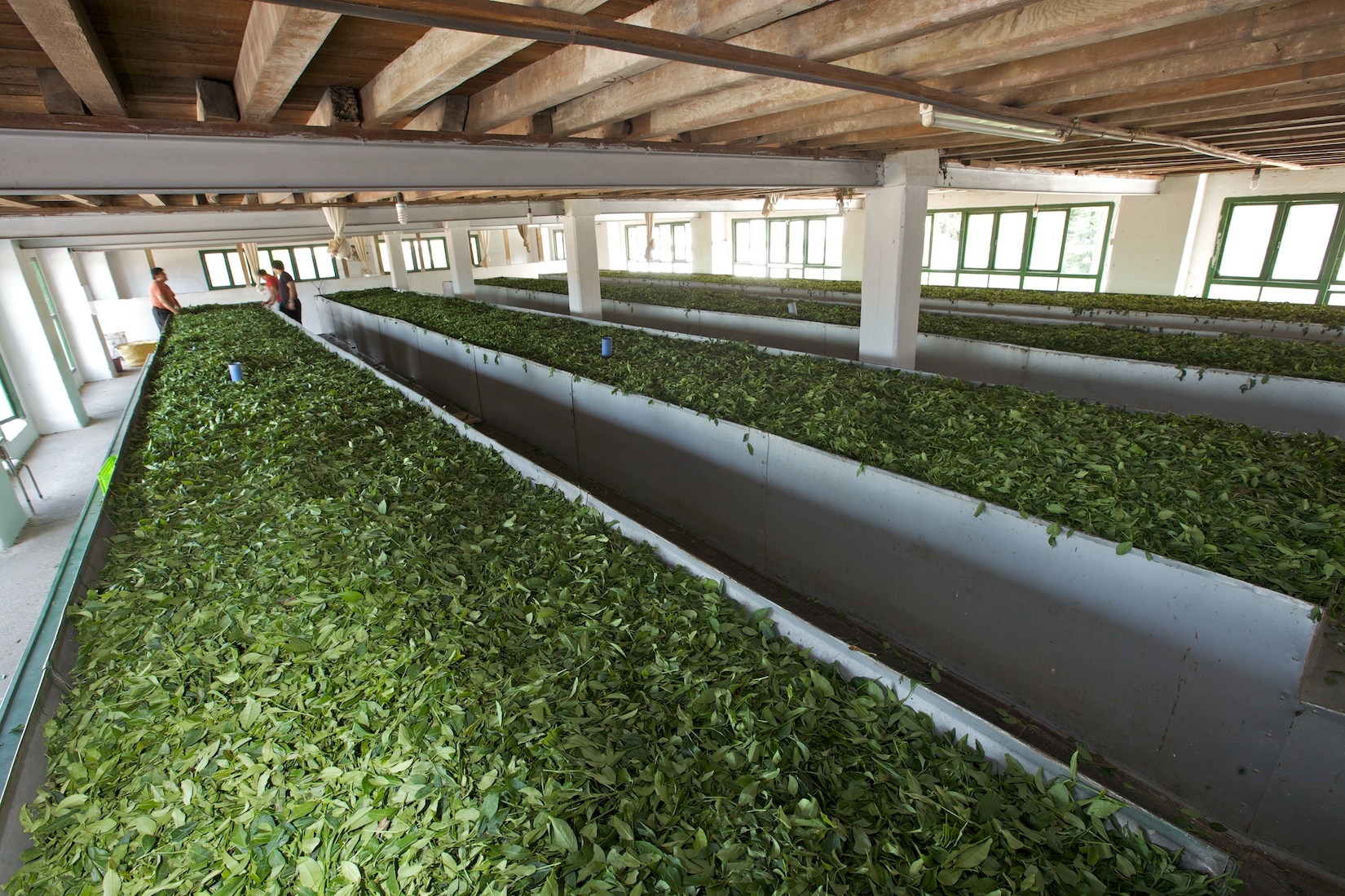 fouman food industry image one